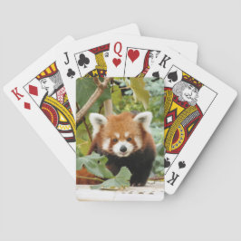 Jeu De Cartes Panda rouge