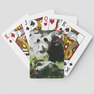 Jeu De Cartes Panda Smile