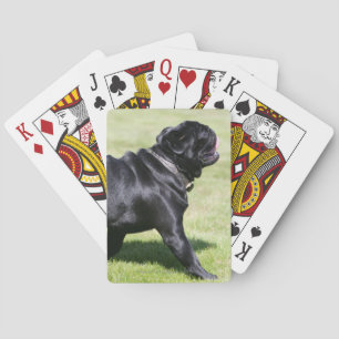 Jeu De Cartes Panneaux de Carlin noir en marchant