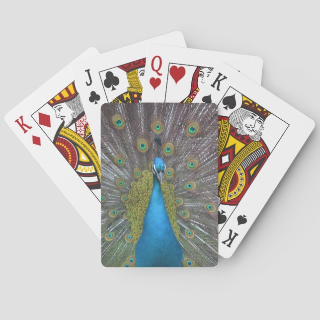 Jeu De Cartes Paon renversant (dos)
