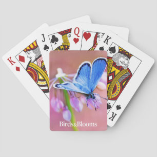 Jeu De Cartes Papillon azuré