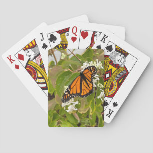 Jeu De Cartes Papillon monarque