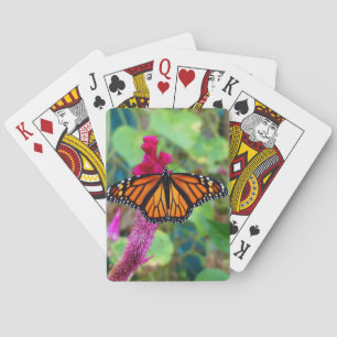 Jeu De Cartes Papillon monarque