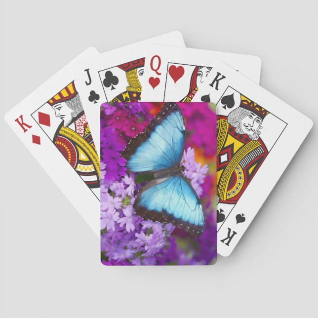 Jeu De Cartes Papillon tropical de Sammamish Washington (dos)