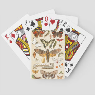 Jeu De Cartes Papillon vintage Caterpillar Vieux art d'illustrat