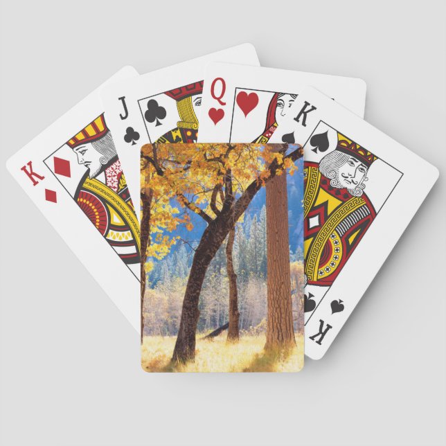 Jeu De Cartes Parc national de Yosemite (dos)