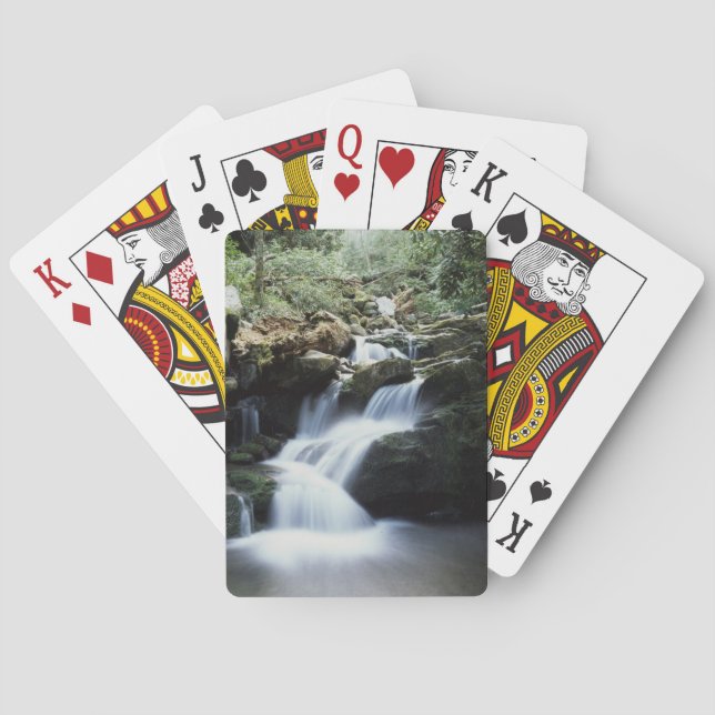 Jeu De Cartes Parc national des Great Smoky Mountains 3 (dos)