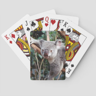 Jeu De Cartes Parc zoologique Featherdale, Koalas