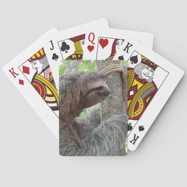 Jeu De Cartes Paresse mignonne (dos)