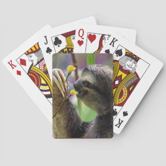 Jeu De Cartes Paresseux à trois doigts