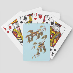 Jeu De Cartes Paruline carbonée Audubon Oiseau