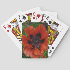 Jeu De Cartes pavot d'Orient   