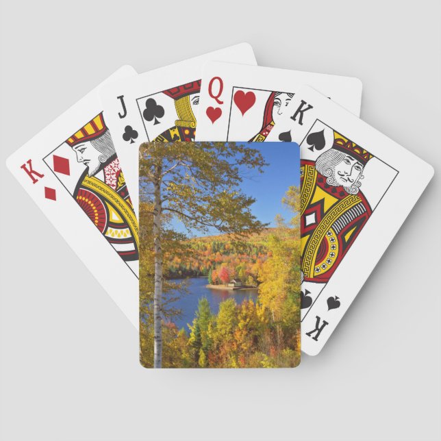 Jeu De Cartes Paysage arboré d'automne, Maine (dos)