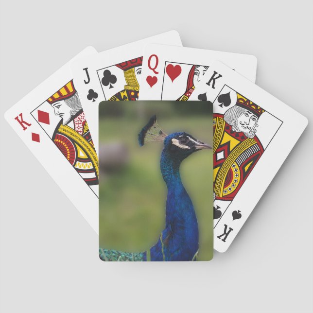 Jeu De Cartes Peacock Classic Playing Cartes (dos)