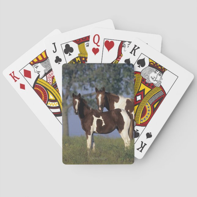 Jeu De Cartes Peignez la jument et le poulain (dos)