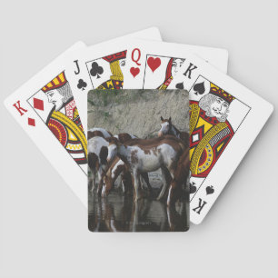 Jeu De Cartes Peignez le boire de chevaux