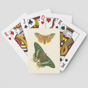 Jeu De Cartes Peinture à papillon légèrement frontière