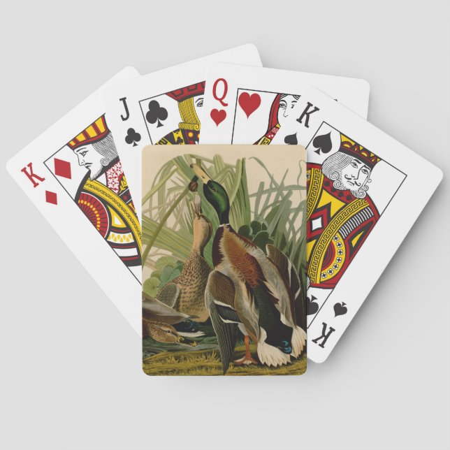 Jeu De Cartes Peinture d'oiseaux de Mallard Duck Audubon (dos)