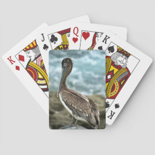 Jeu De Cartes Pélican Brown au bord de l'océan