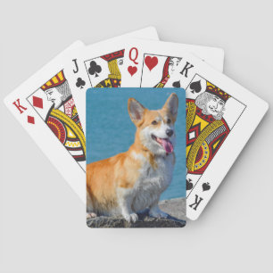 Jeu De Cartes Pembroke rouge et blanc Corgi Chien chiot gallois