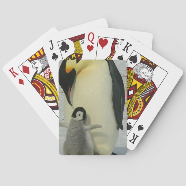 Jeu De Cartes Penguin regardant le poussin (dos)
