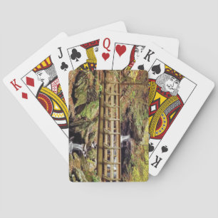 Jeu De Cartes Pennsylvanie, RICKETTS GLEN FALLS TRAIL