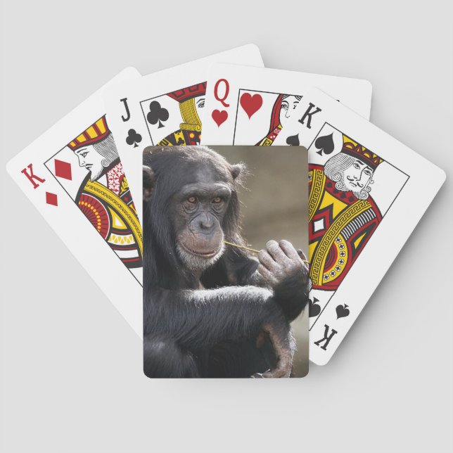 Jeu De Cartes Pensez À Monkeying Autour (dos)