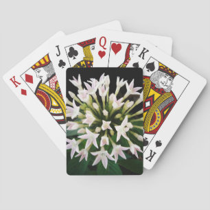 Jeu De Cartes Pentas blancs