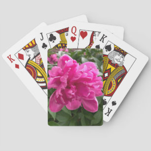 Jeu De Cartes Peony Jouer Des Cartes