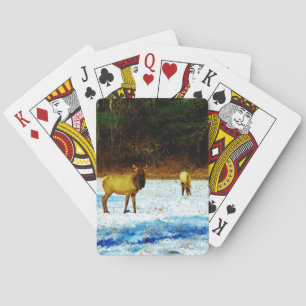 Jeu De Cartes Personnaliser