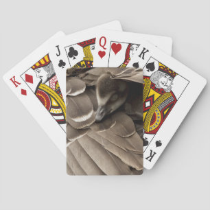 Jeu De Cartes Petit Gosling sous l'aile de maman