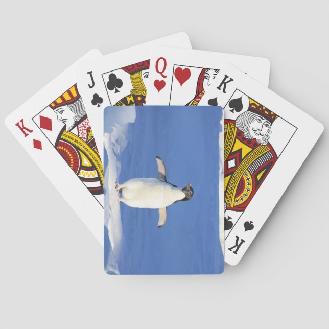 Jeu De Cartes Petit mignon pingouin debout sur la glace (dos)