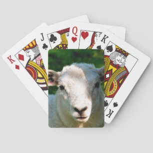JEU DE CARTES PETIT MOQUETTE