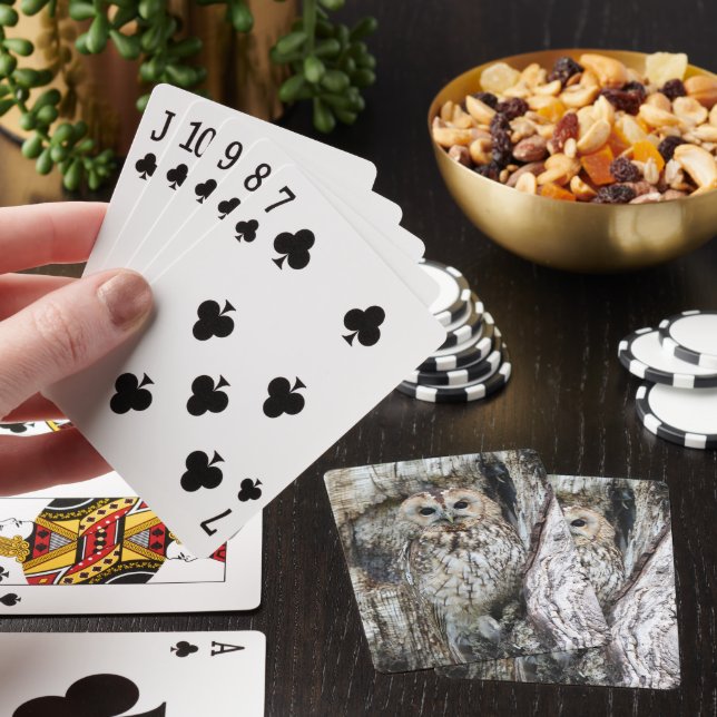 Jeu De Cartes Petite Chouette de Camouflage dans l'arbre (In Situ)