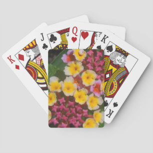 Jeu De Cartes Petites Fleurs Tropicales Jaunes Aux Bureaux Roses