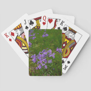 Jeu De Cartes Phlox bleu sauvage