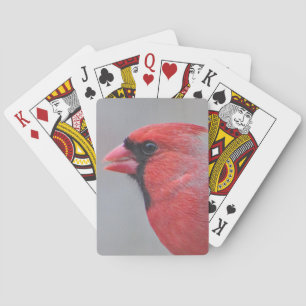 Jeu De Cartes Photo cardinale