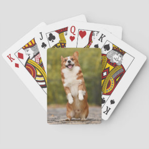 Jeu De Cartes Photo de chiot Corgi heureux debout