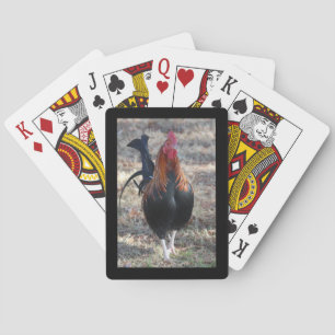 Jeu De Cartes Photo de coq de jeu
