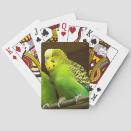 Jeu De Cartes Photo de la perruche verte et jaune