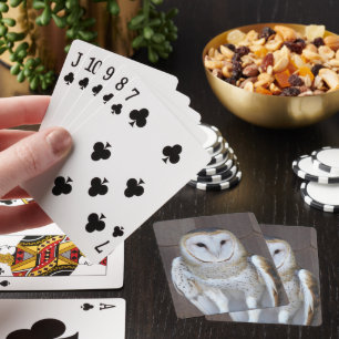 Jeu De Cartes Photo de Raptor de Chouette-Barne