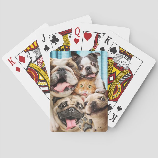Jeu De Cartes Photo d'un groupe de chiens et de chats (dos)