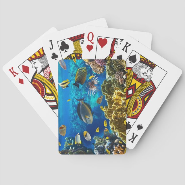 Jeu De Cartes Photo d'un poisson tropical sur une barrière de co (dos)