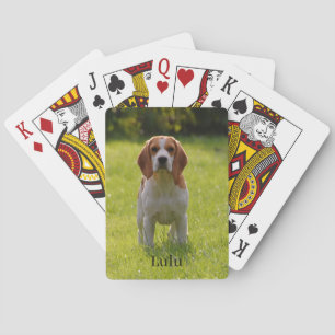 Jeu De Cartes Photo et nom du chien beagle Personnalisé