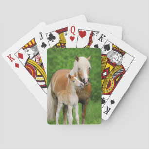 Jeu De Cartes Photo mignonne de maman de baiser de poulain de