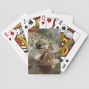 Jeu De Cartes Photo Rainbow Trump