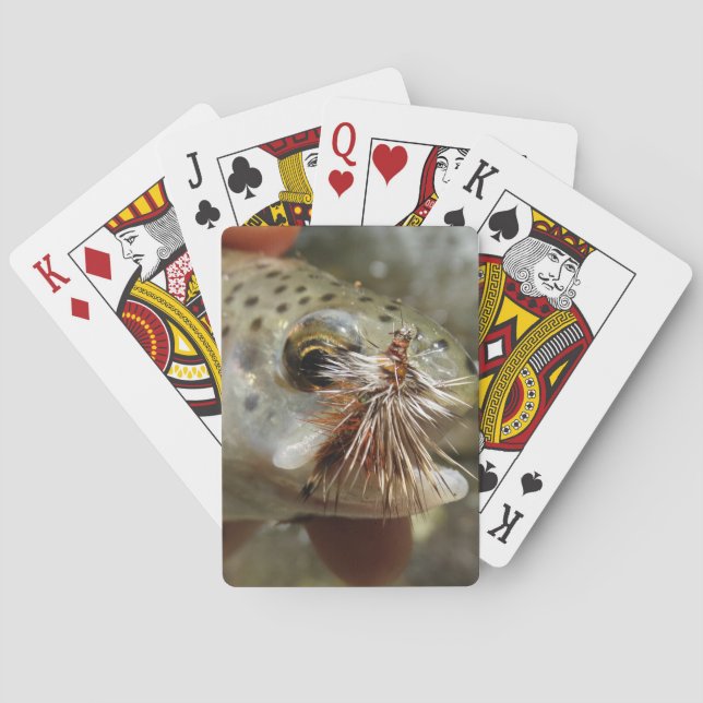 Jeu De Cartes Photo Rainbow Trump (dos)
