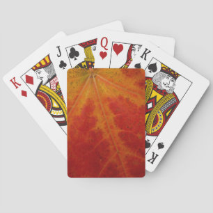 Jeu De Cartes Photographie abstraite de la feuille d'érable roug