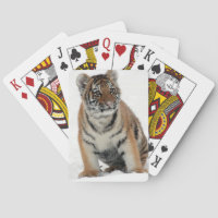 Photographie de jeune tigre dans la neige