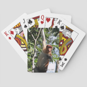 Jeu De Cartes Photographie de la faune - Proboscis Monkey